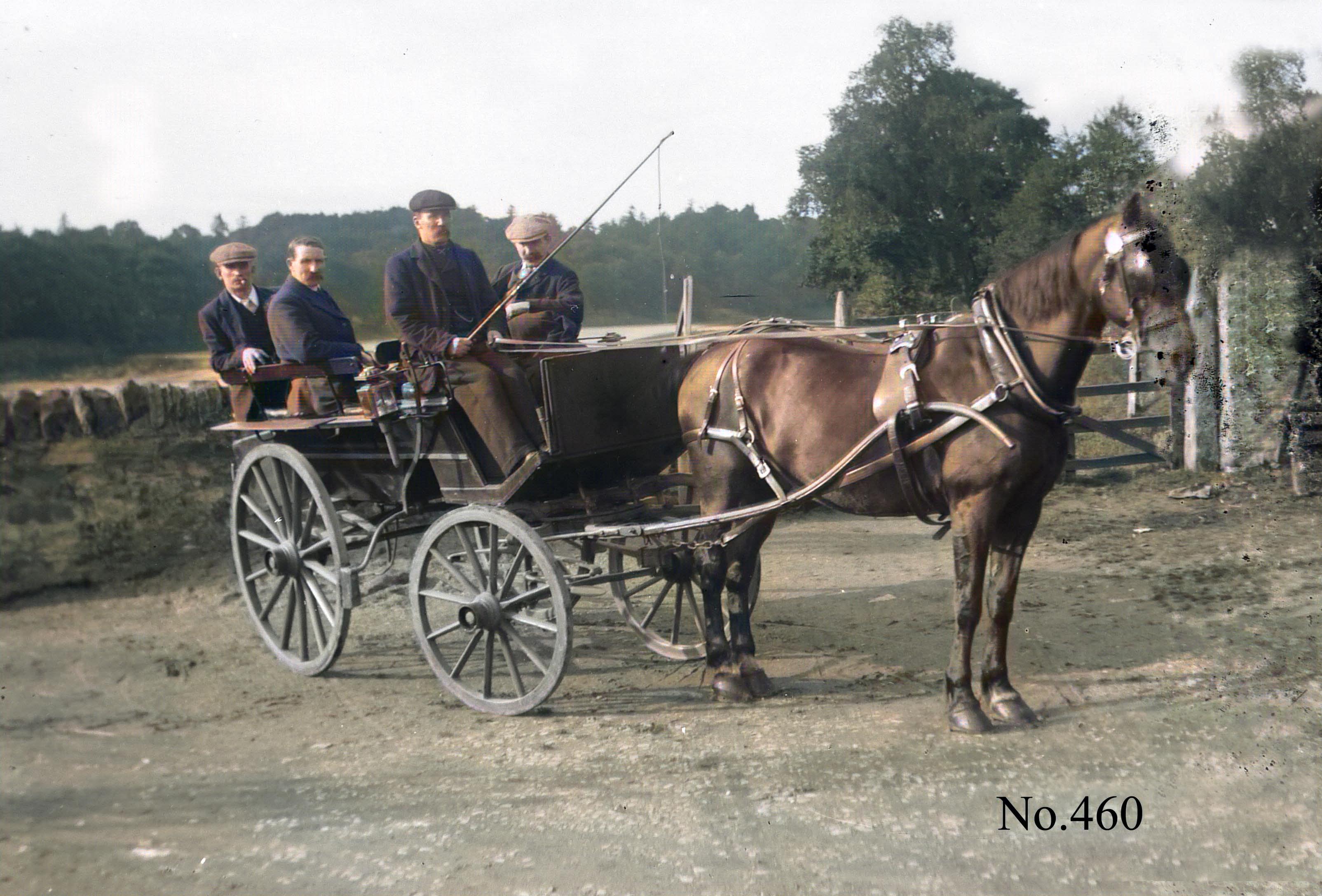 transport